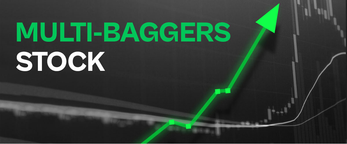 Multibaggers