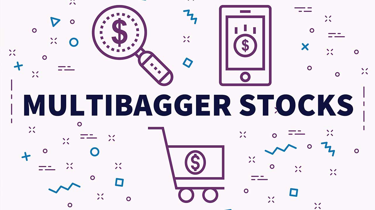multibagger